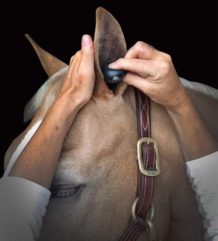 Ear Plugs For Horses + Noise Cancelling Bonnets | Active Equine