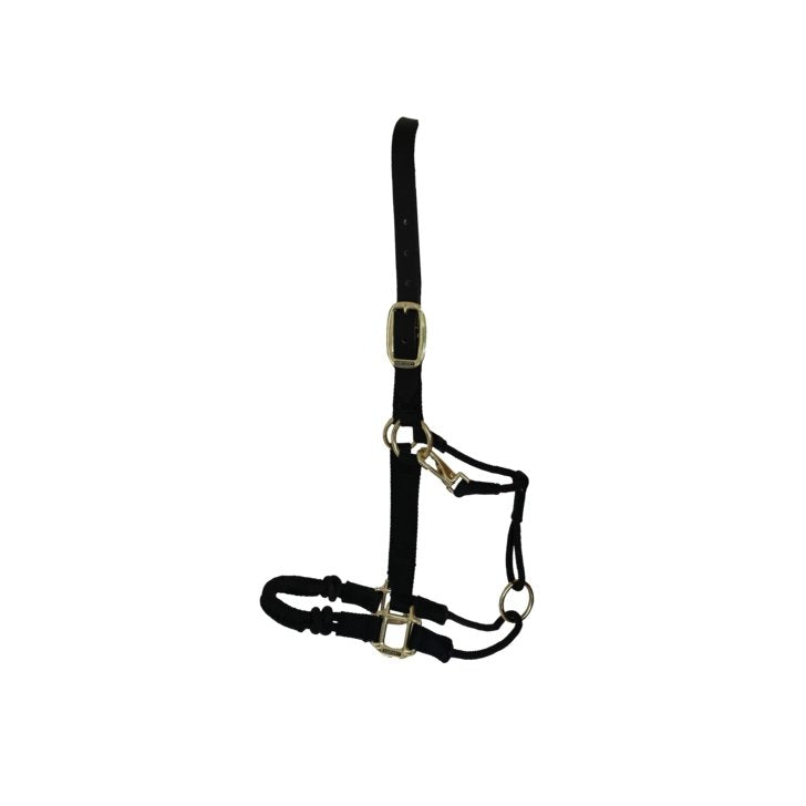 Syd Hill Bowen Show Halter