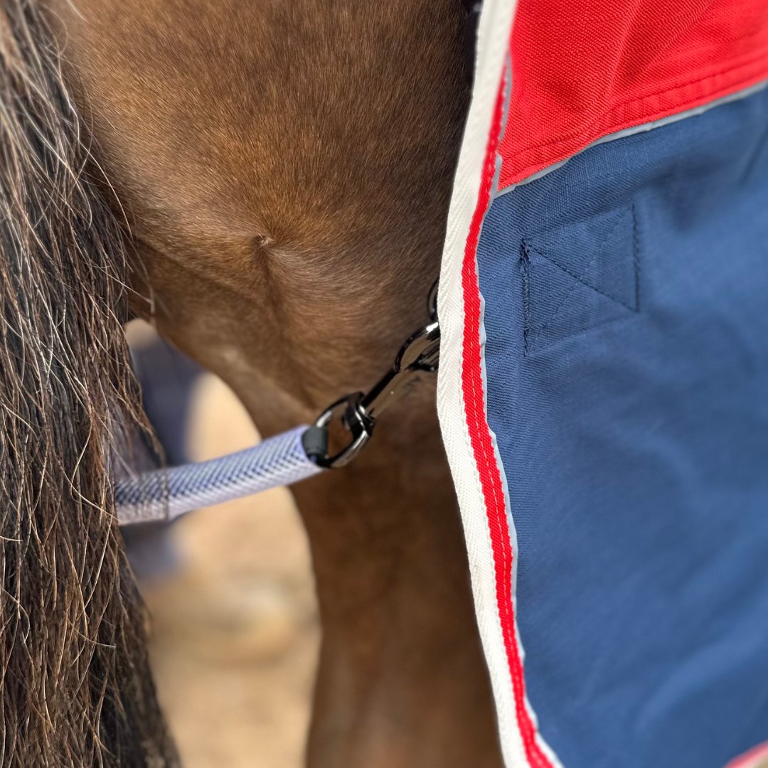 Horse Rug Accessories Australia - Active Equine