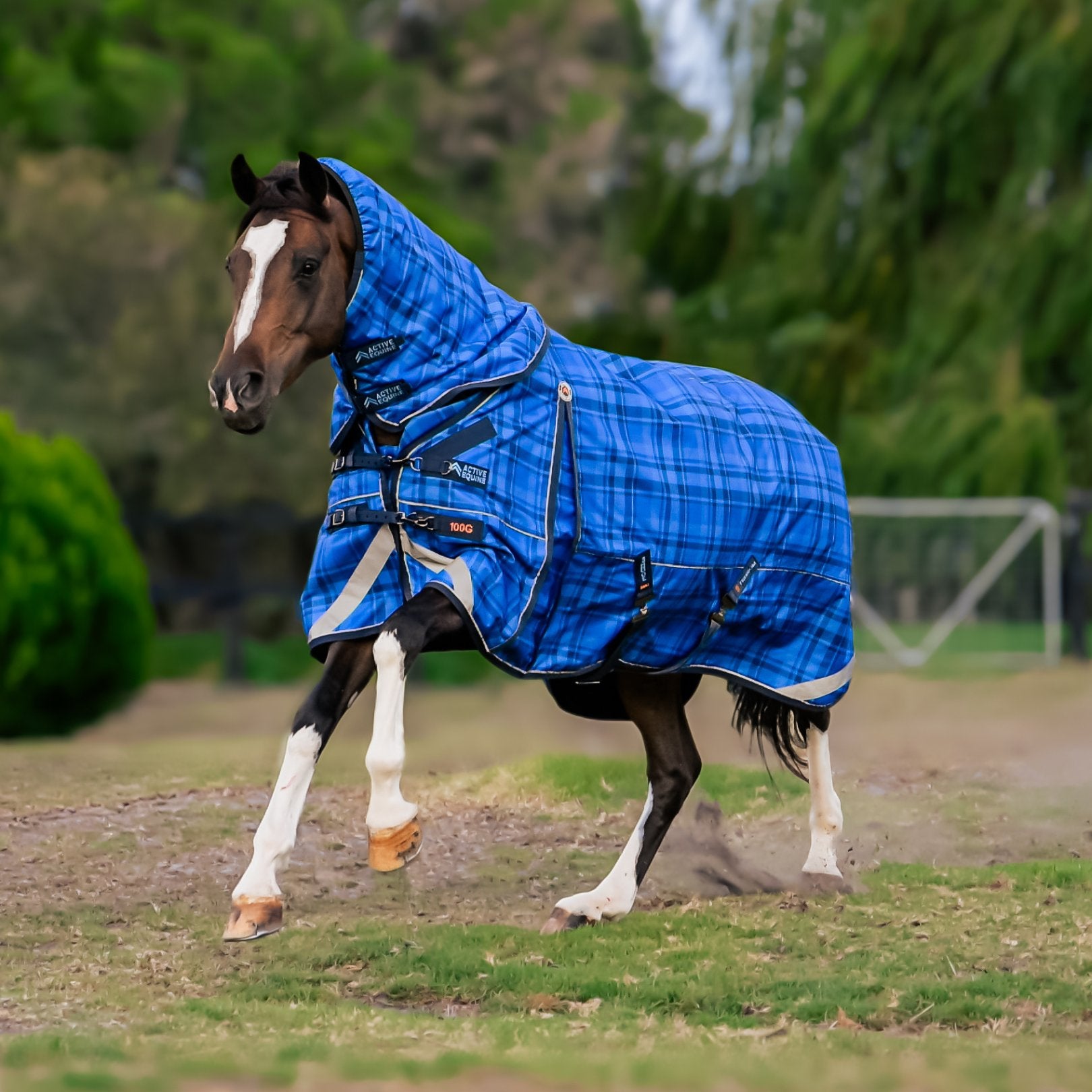 turnout rugs-waterproof horse rugs - Active Equine