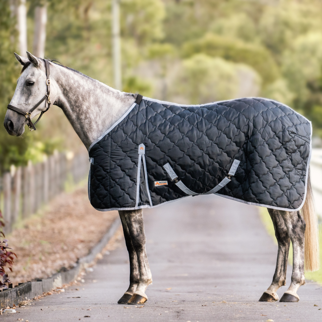 Quilted Stable Rug | Active Equine