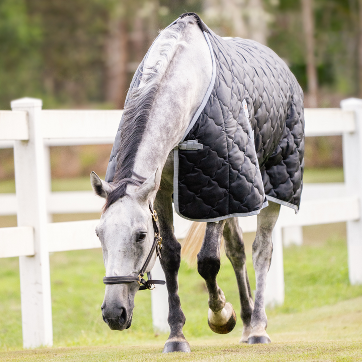 Quilted Stable Rug | Active Equine