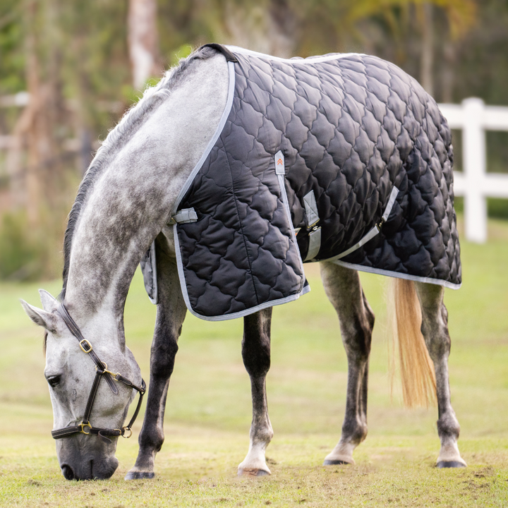 Quilted Stable Rug | Active Equine