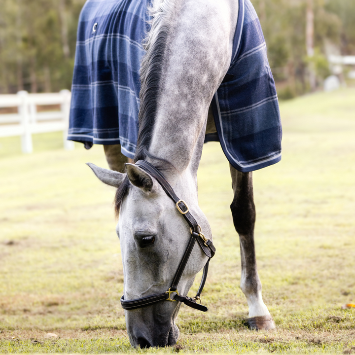 Wool Horse Rug | Active Equine