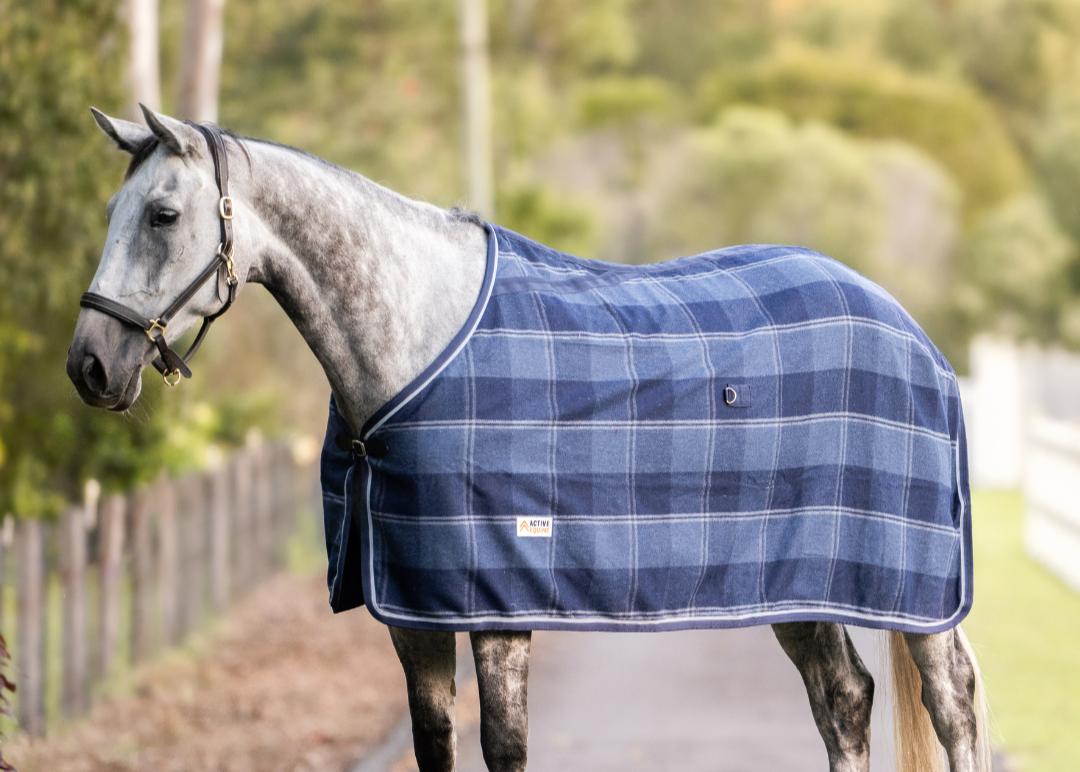 Wool Horse Rug | Active Equine