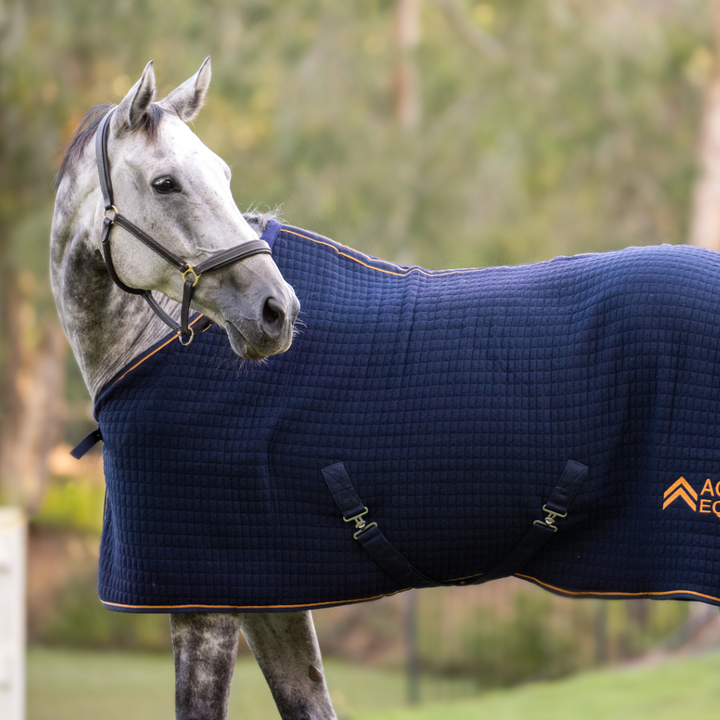 Thermotex Horse Rug | Active Equine