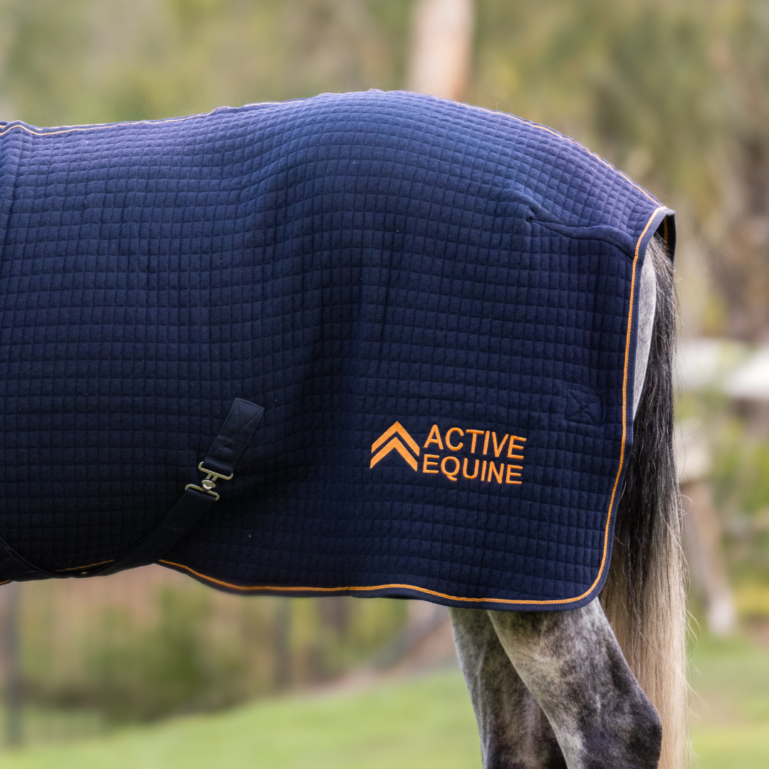 Thermotex Horse Rug | Active Equine