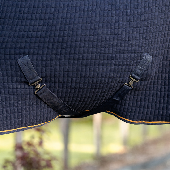 Thermotex Horse Rug | Active Equine