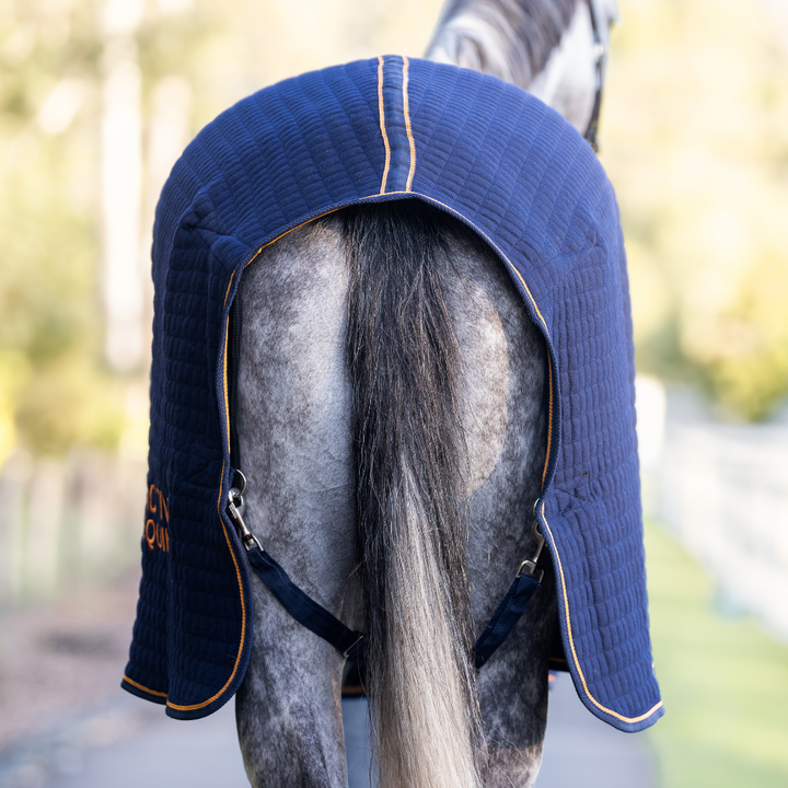 Thermotex Horse Rug | Active Equine