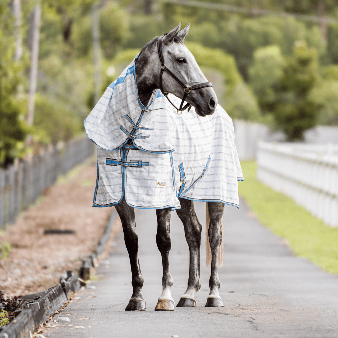 AE Deluxe Ripstop Combo - Active Equine