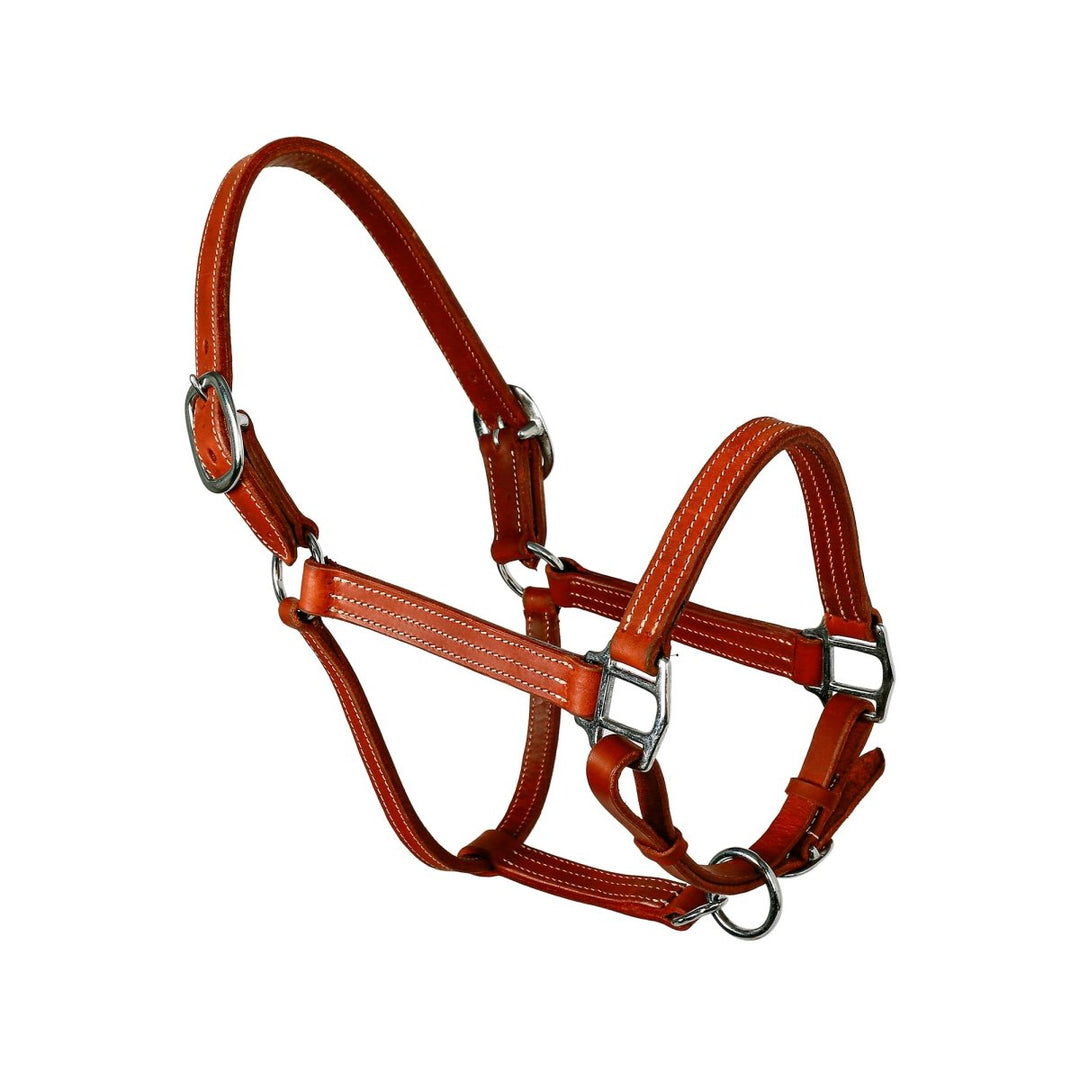 Syd Hill Cooroy Track Halter - Active Equine