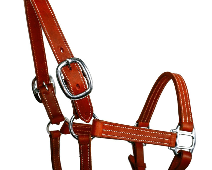 Syd Hill Cooroy Track Halter - Active Equine