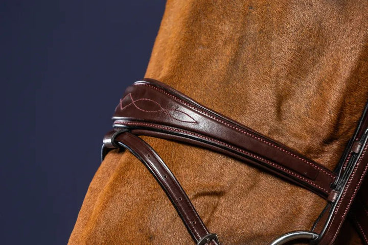 Anatomic Flash Noseband Bridle | Dyon | New English - Active Equine