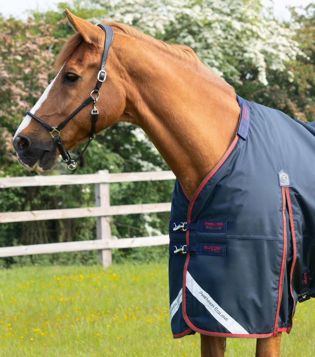 Buster 150g Turnout Rug with Classic Neck Cover | PEI - Active Equine