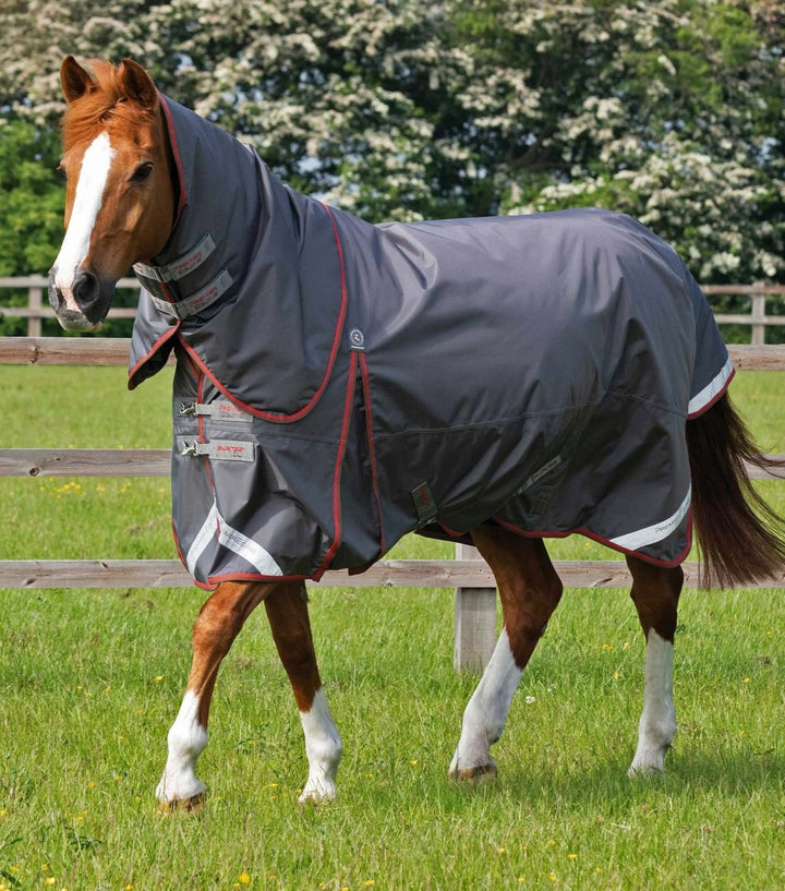 Buster 150g Turnout Rug with Classic Neck Cover | PEI - Active Equine