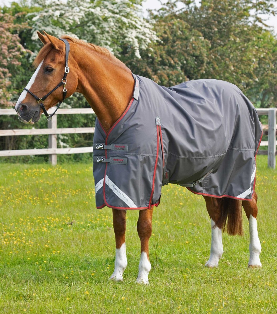 Buster 150g Turnout Rug with Classic Neck Cover | PEI - Active Equine