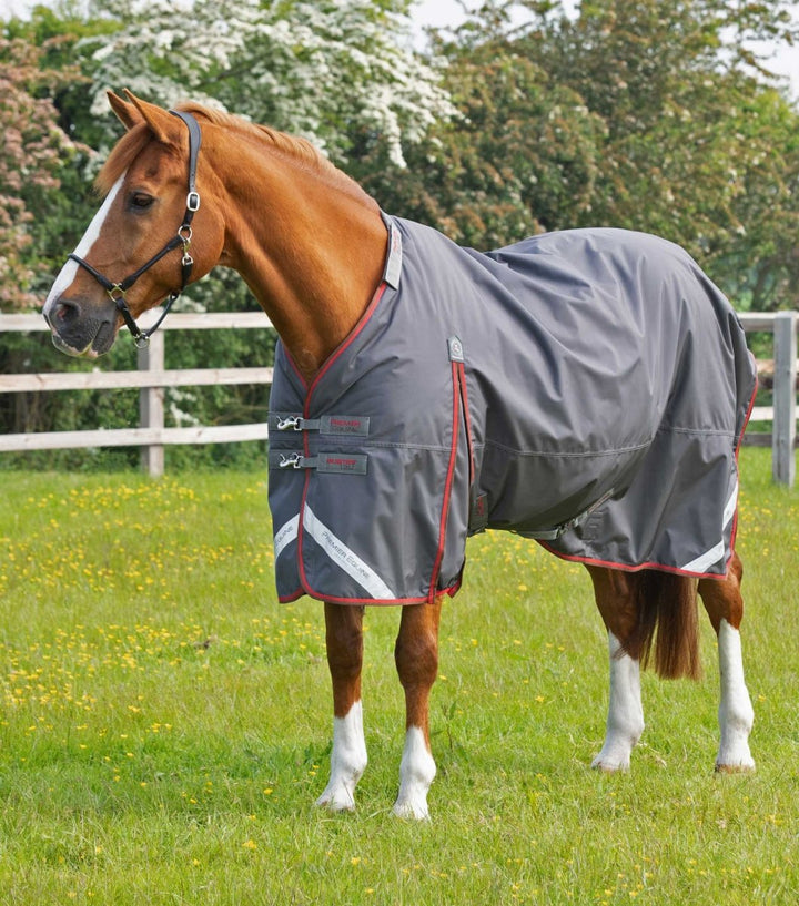 Buster 150g Turnout Rug with Classic Neck Cover | PEI - Active Equine