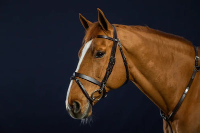 Flat Leather Bridle With Snap Hooks | Dyon - Active Equine