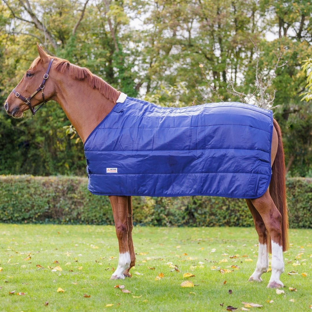 Horse Rug Liners 100g For Colder Climates Active Equine