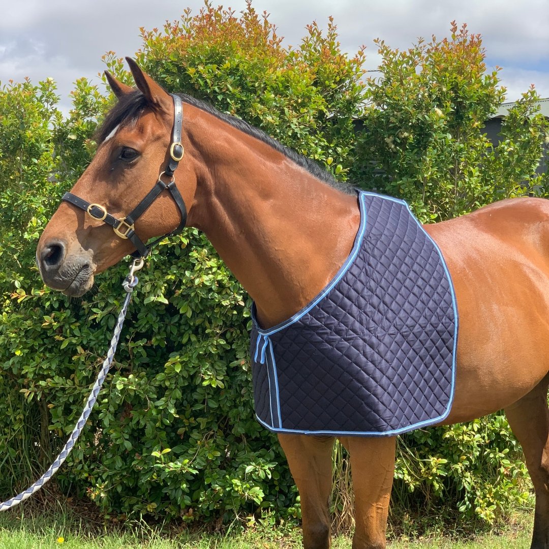 Horse Rug Bib Padded Shoulder Guard Active Equine