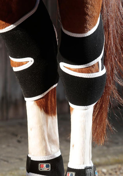 Horse Magnetic Boots (set of 2) - Active Equine