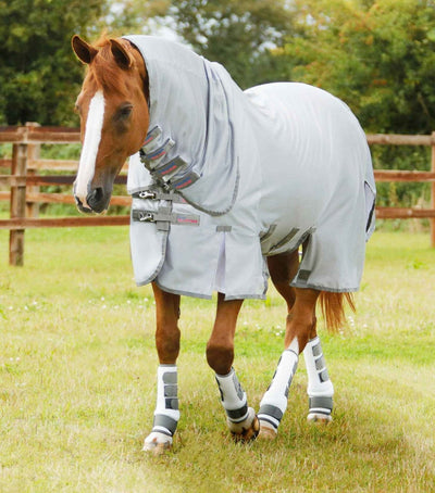 PEI Bug Buster Fly Rug with Belly Flap - Active Equine