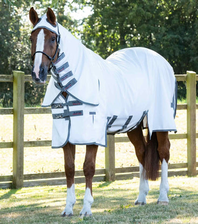 PEI Sweet Itch Buster Fly Rug with Belly Flap - Active Equine