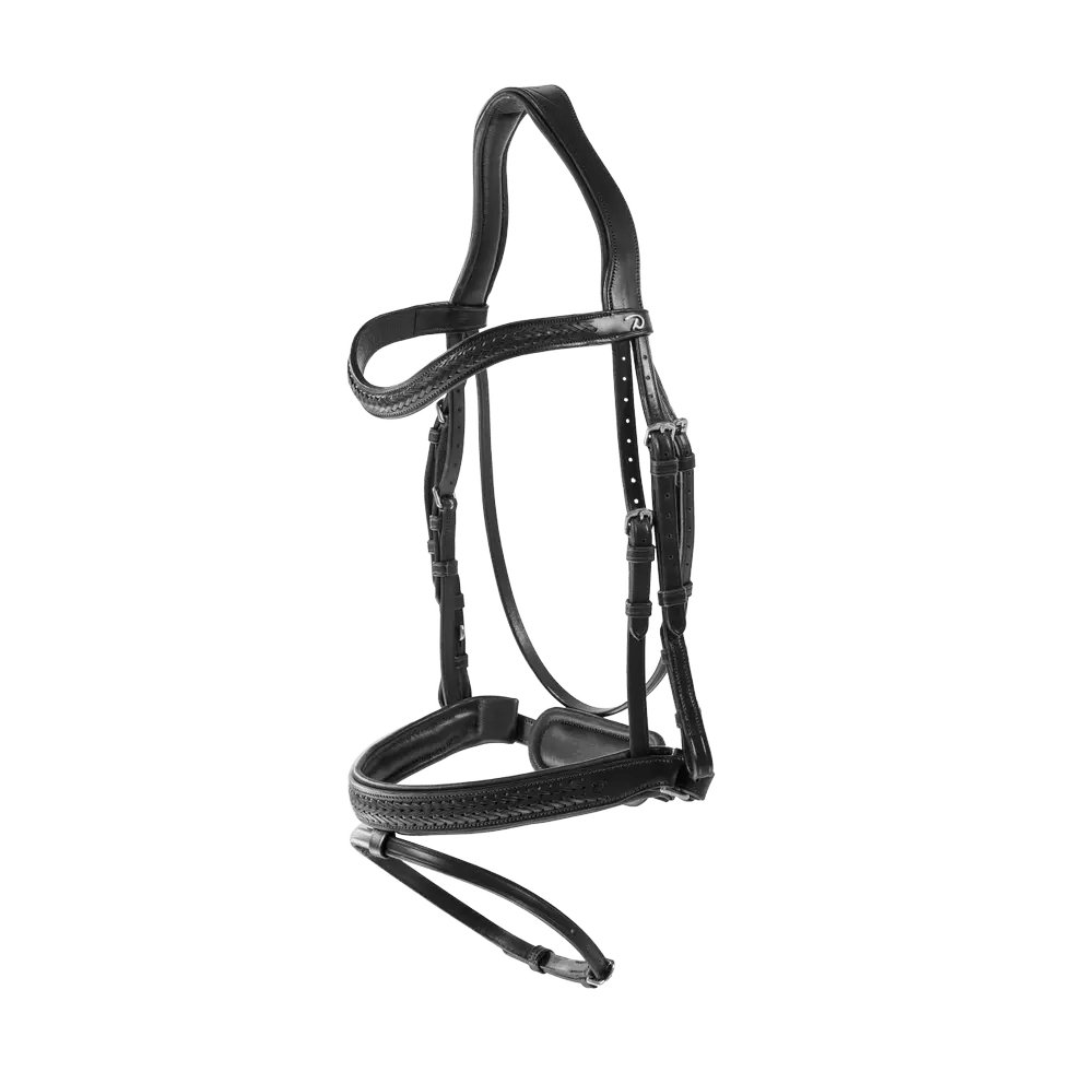 Plaited Flash Noseband Bridle with Pull back | Dyon | New English - Active Equine