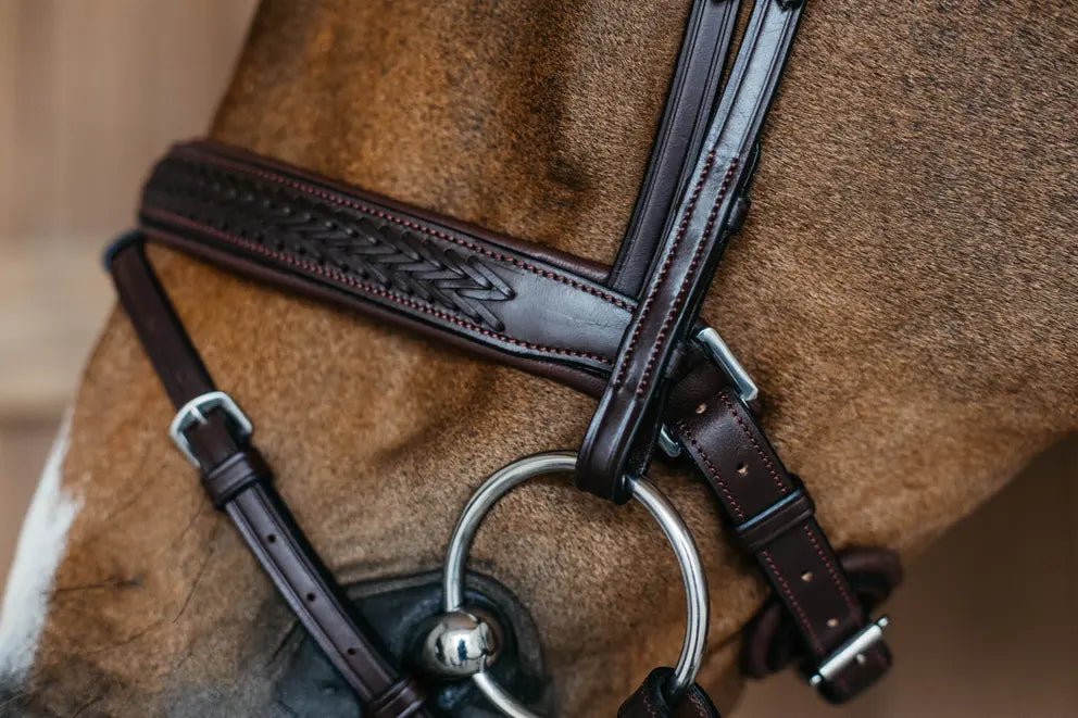 Plaited Flash Noseband Bridle with Pull back | Dyon | New English - Active Equine