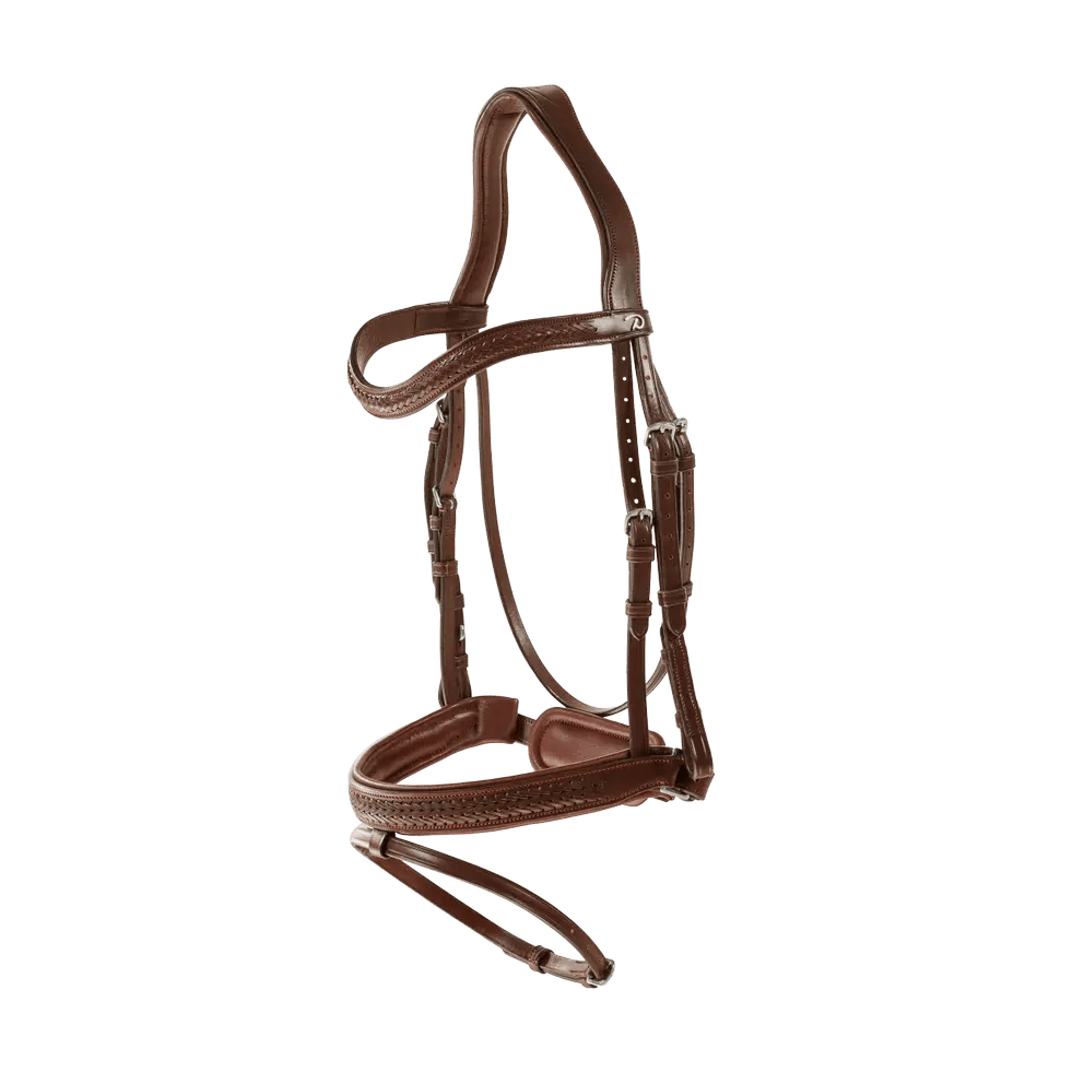 Plaited Flash Noseband Bridle with Pull back | Dyon | New English - Active Equine