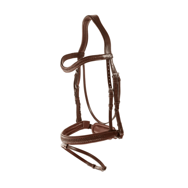 Plaited Flash Noseband Bridle with Pull back | Dyon | New English - Active Equine