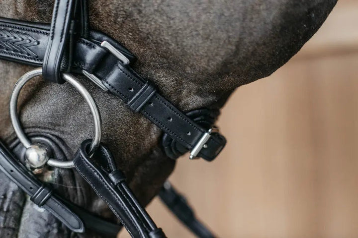 Plaited Flash Noseband Bridle with Pull back | Dyon | New English - Active Equine