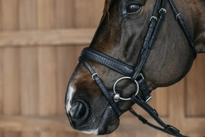 Plaited Flash Noseband Bridle with Pull back | Dyon | New English - Active Equine