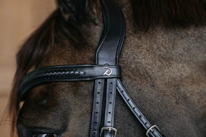 Plaited Flash Noseband Bridle with Pull back | Dyon | New English - Active Equine