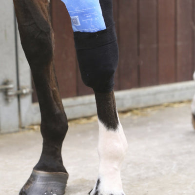 Tendon Grip Sock Equine Therapy | Kentucky Horsewear - Active Equine