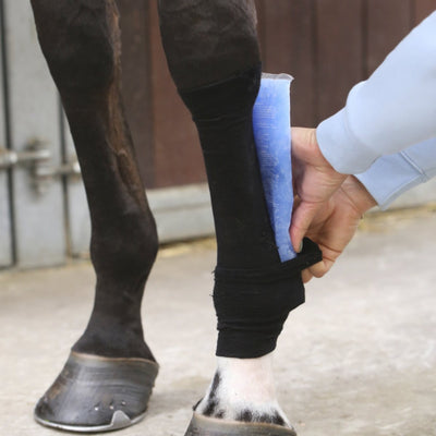 Tendon Grip Sock Equine Therapy | Kentucky Horsewear - Active Equine