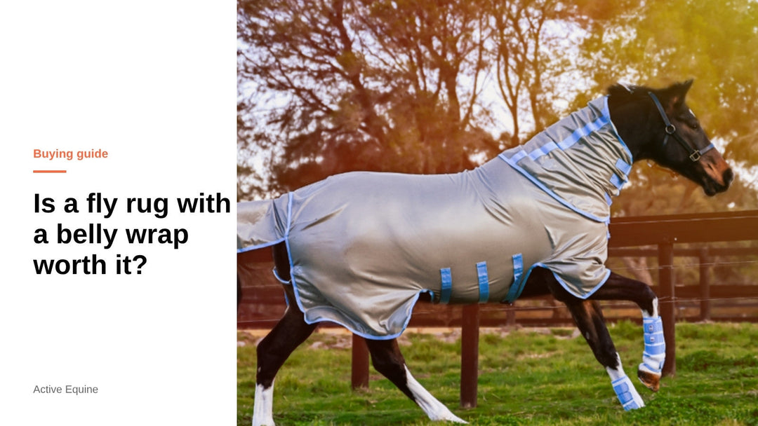 Horse wearing the AeroMax Fly Rug with Belly Wrap and fly boots in a paddock