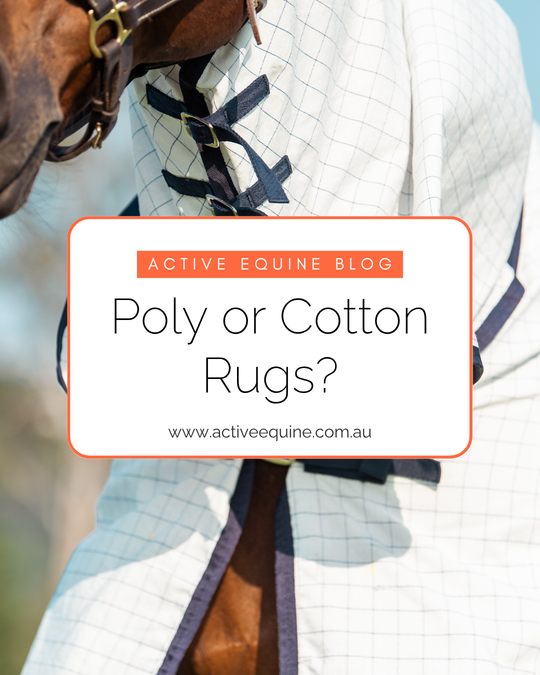 What the Experts Say: Our Team’s Take on Cotton and Polyester Ripstop Rugs