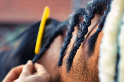 A Beginners Guide To Braiding Horse Hair