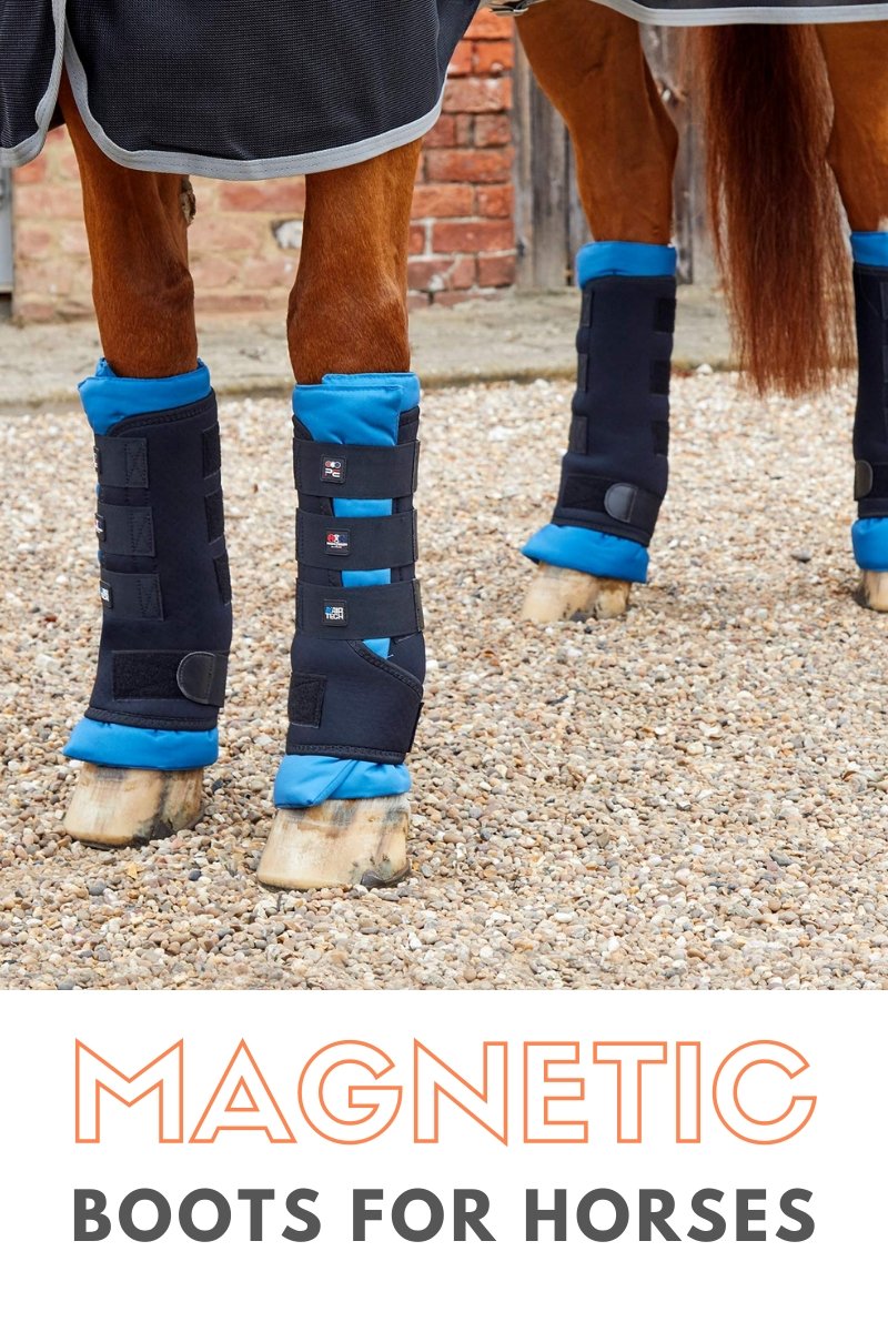 A Guide To Magnetic Horse Boots - Active Equine