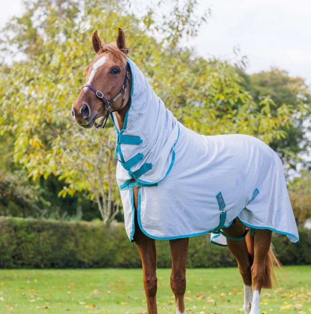 Benefits Of Mesh Rugs For Horses - Active Equine