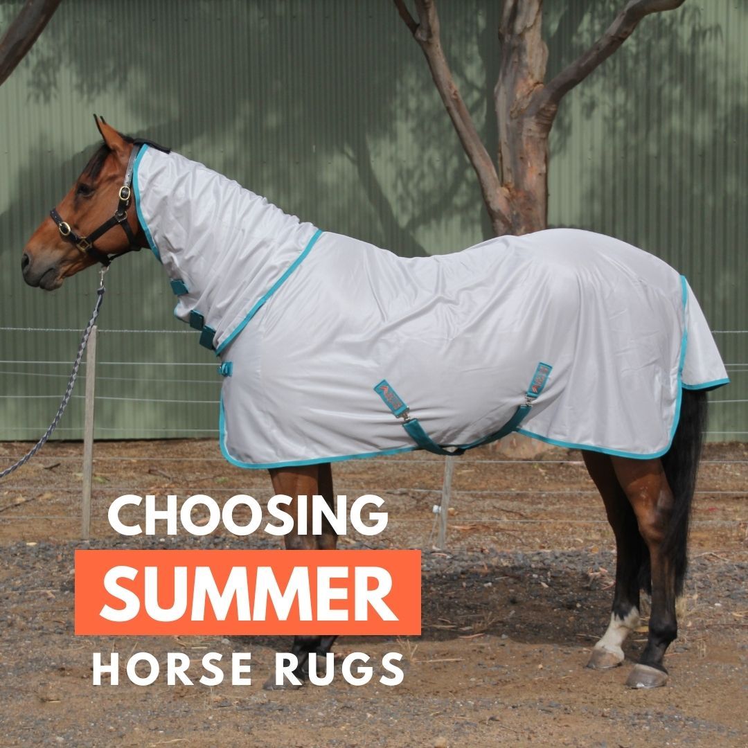Choosing summer horse rugs | A helpful guide – Active Equine