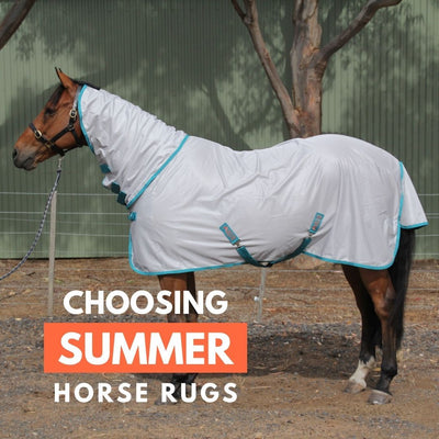 Choosing the right summer rug for your horse