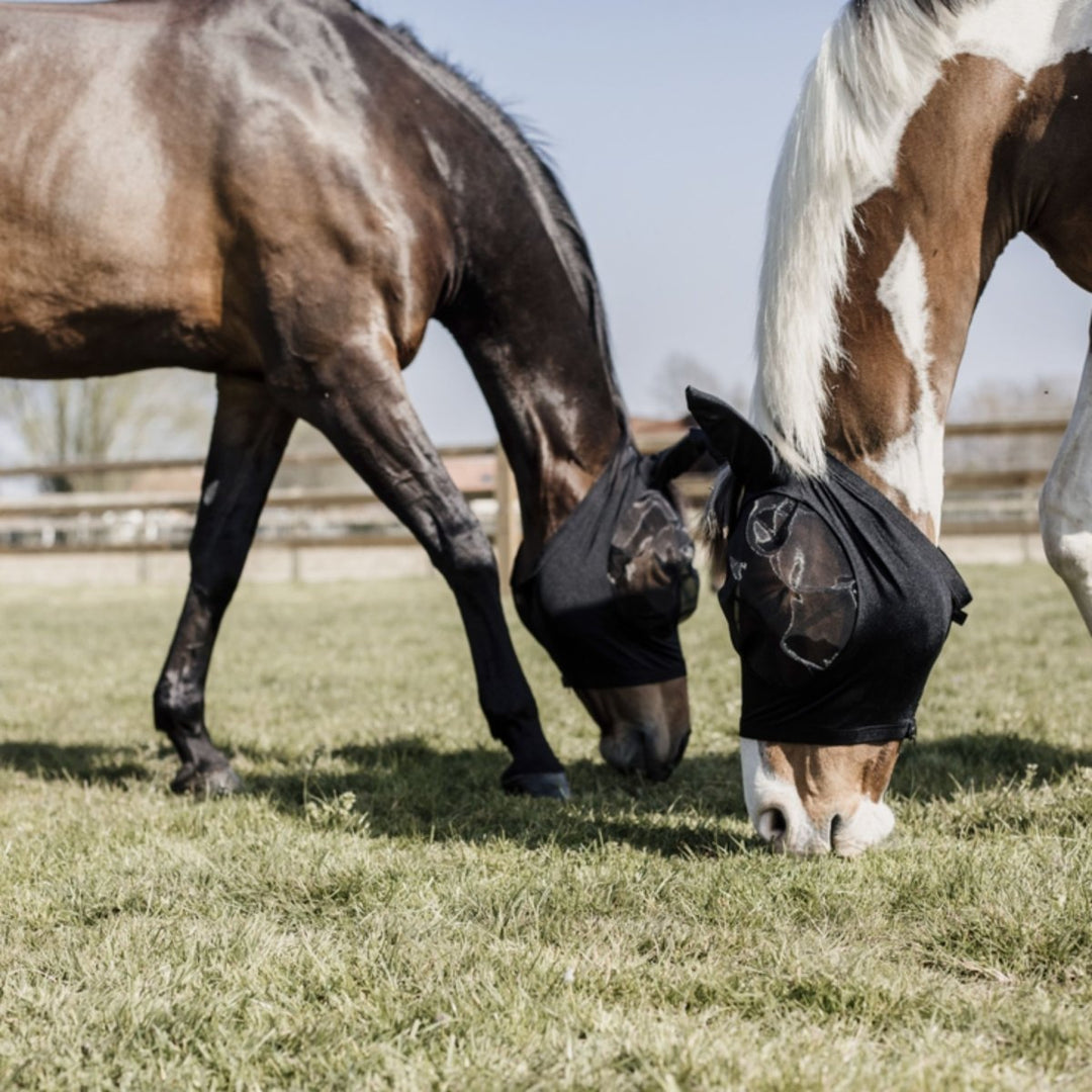 Fly masks for horses…making the right choice. - Active Equine