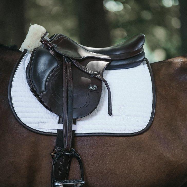 Half Saddle Pads - Are they right for you? - Active Equine