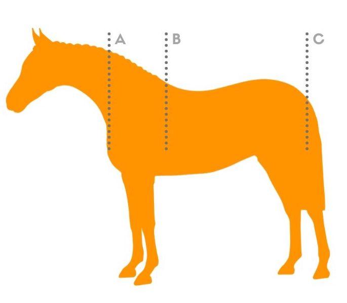 Horse Rug Sizes - A Comprehensive Horse Chart To Fitting Your Horse Rug with BONUS Fitting Tips - Active Equine