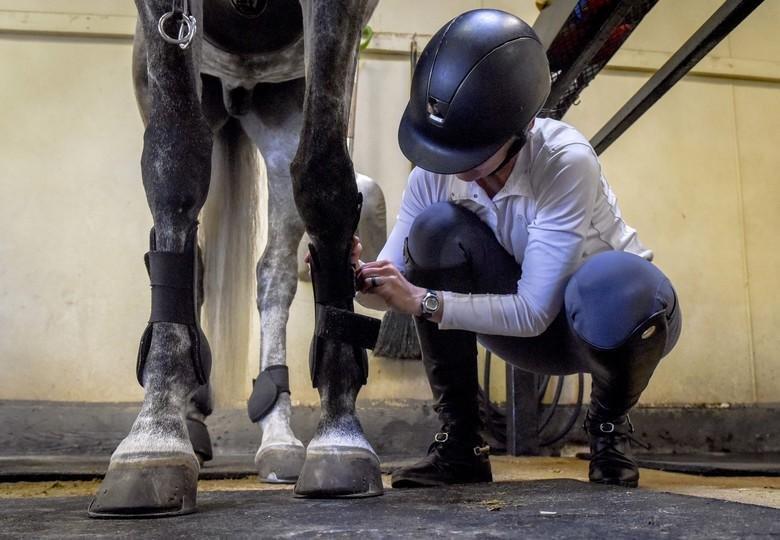 How to self-isolate with horses during COVID-19 - Active Equine