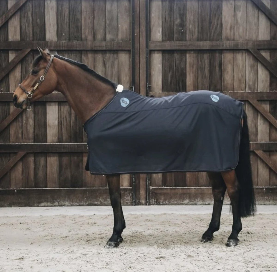 Magnetic Therapy For Horses - For Improved Healing & Wellbeing - Active Equine