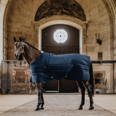 Part 2 - What Winter Horse Rug Do I Need?