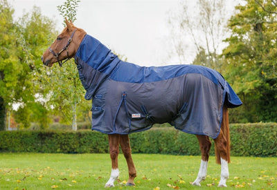 Purchasing Horse Riding Gear Online in Safety & Confidence